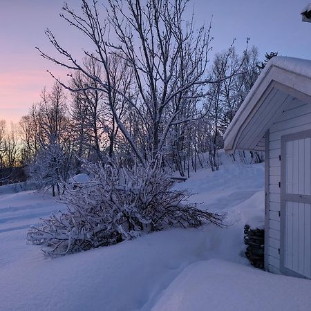 Cabin Magic On Senja, Atmosphere Like A Fairytale Botnhamn Eksteriør bilde