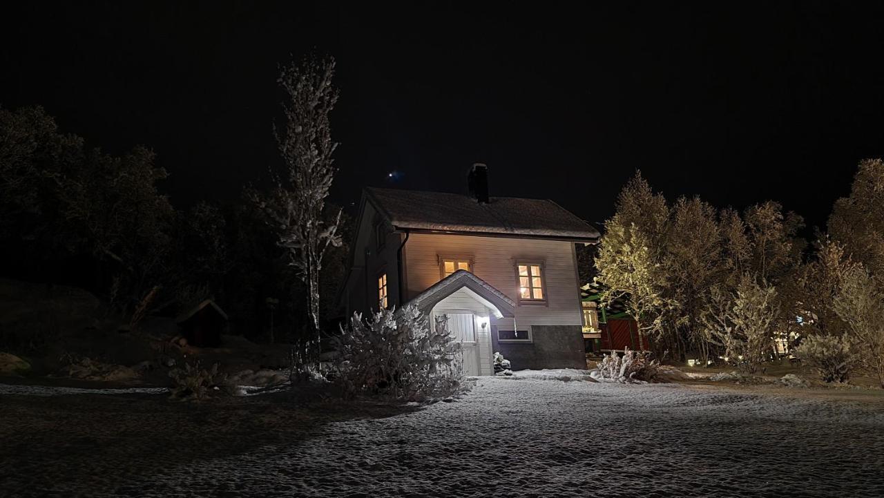 Cabin Magic On Senja, Atmosphere Like A Fairytale Botnhamn Eksteriør bilde