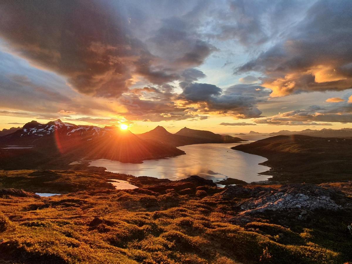 Cabin Magic On Senja, Atmosphere Like A Fairytale Botnhamn Eksteriør bilde