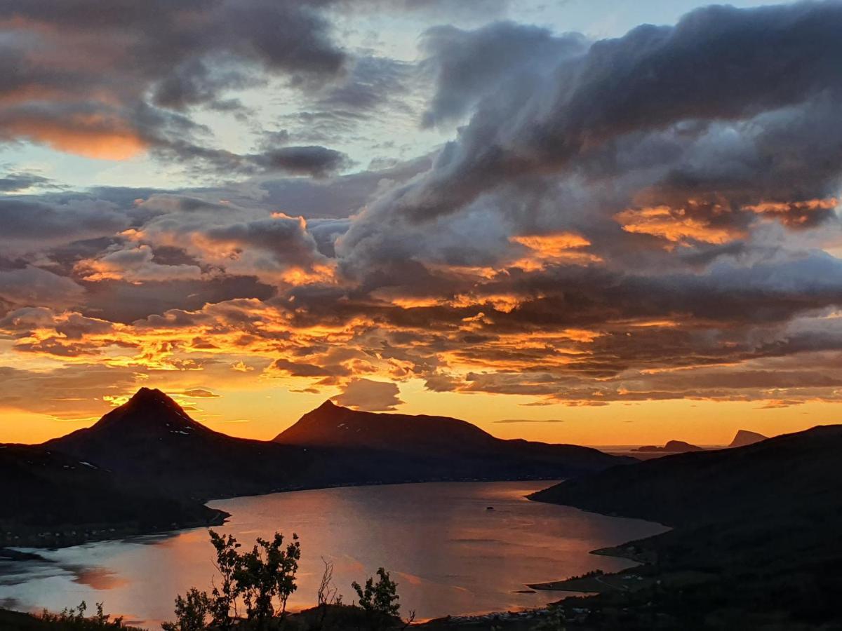 Cabin Magic On Senja, Atmosphere Like A Fairytale Botnhamn Eksteriør bilde