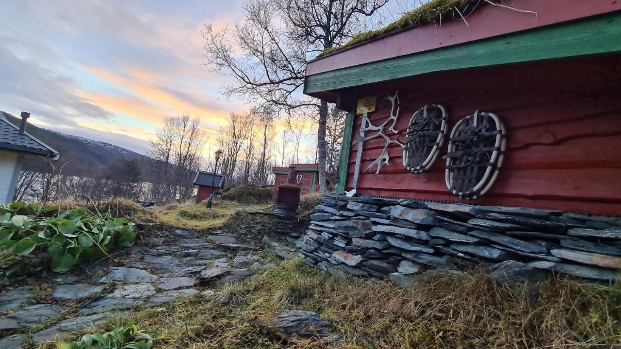 Cabin Magic On Senja, Atmosphere Like A Fairytale Botnhamn Eksteriør bilde