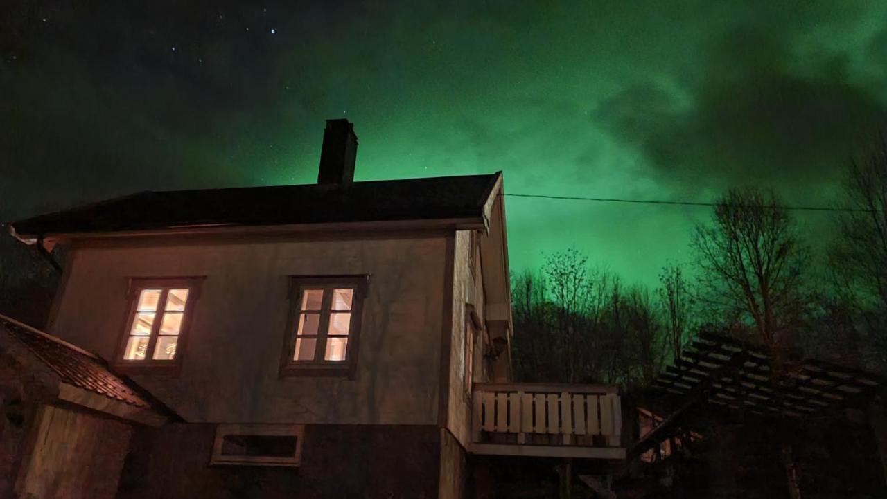 Cabin Magic On Senja, Atmosphere Like A Fairytale Botnhamn Eksteriør bilde