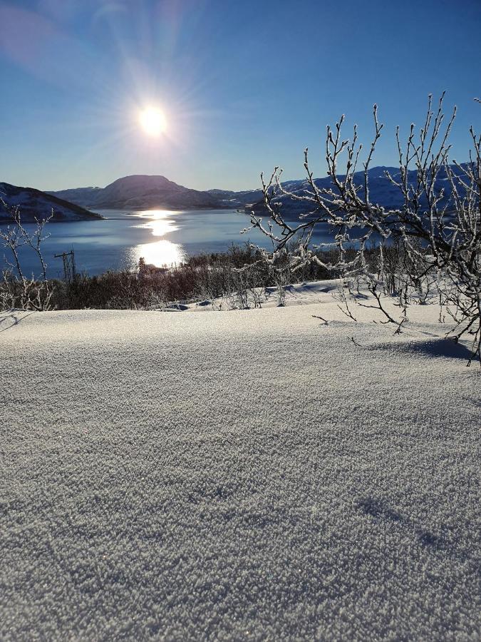 Cabin Magic On Senja, Atmosphere Like A Fairytale Botnhamn Eksteriør bilde
