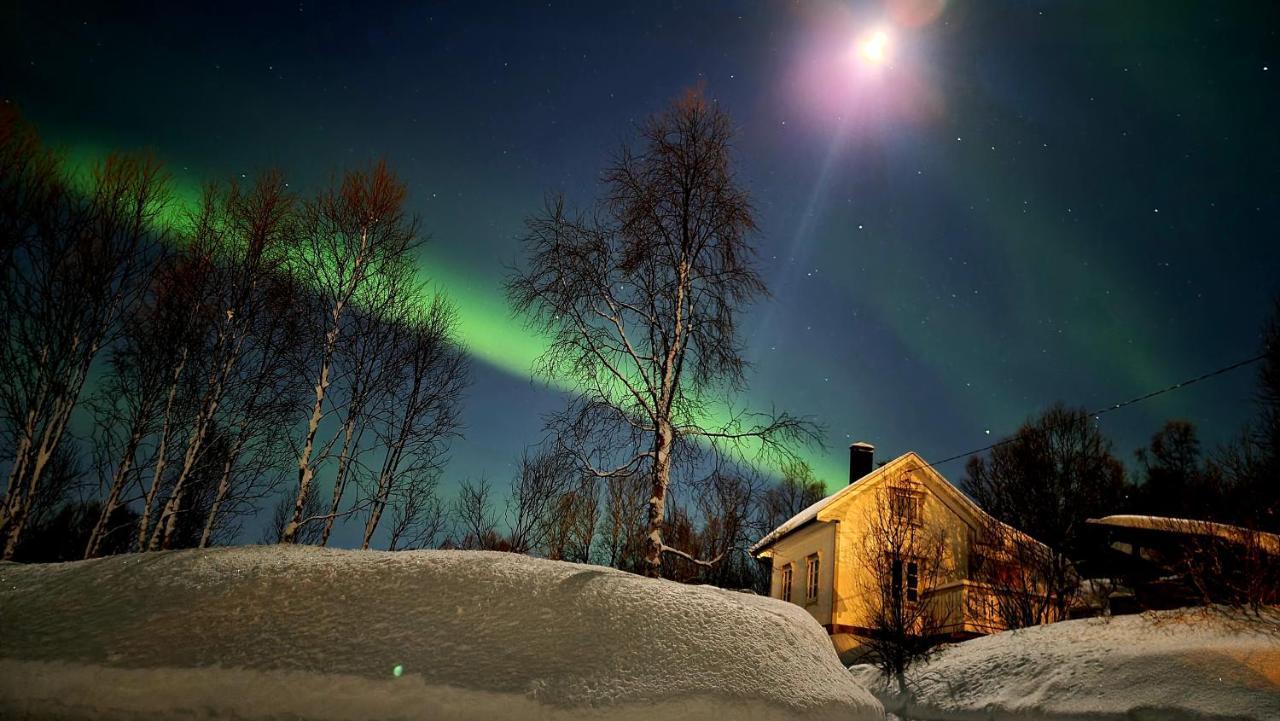 Cabin Magic On Senja, Atmosphere Like A Fairytale Botnhamn Eksteriør bilde