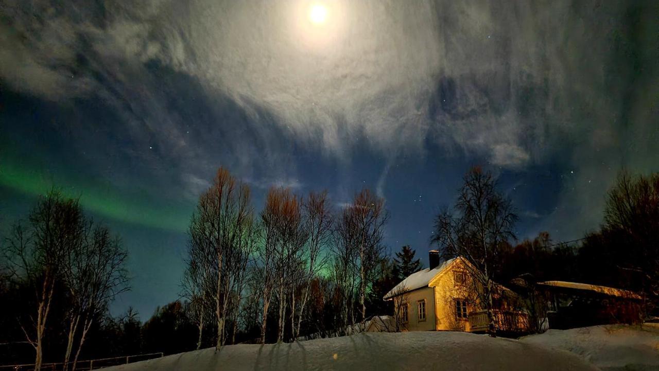 Cabin Magic On Senja, Atmosphere Like A Fairytale Botnhamn Eksteriør bilde