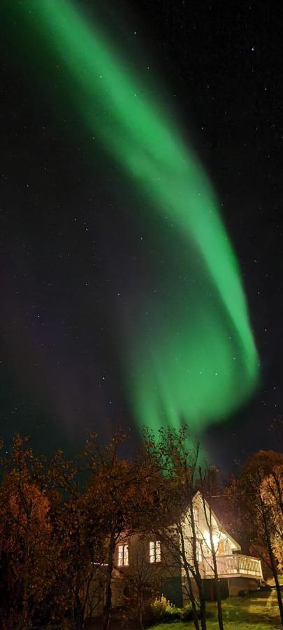 Cabin Magic On Senja, Atmosphere Like A Fairytale Botnhamn Eksteriør bilde