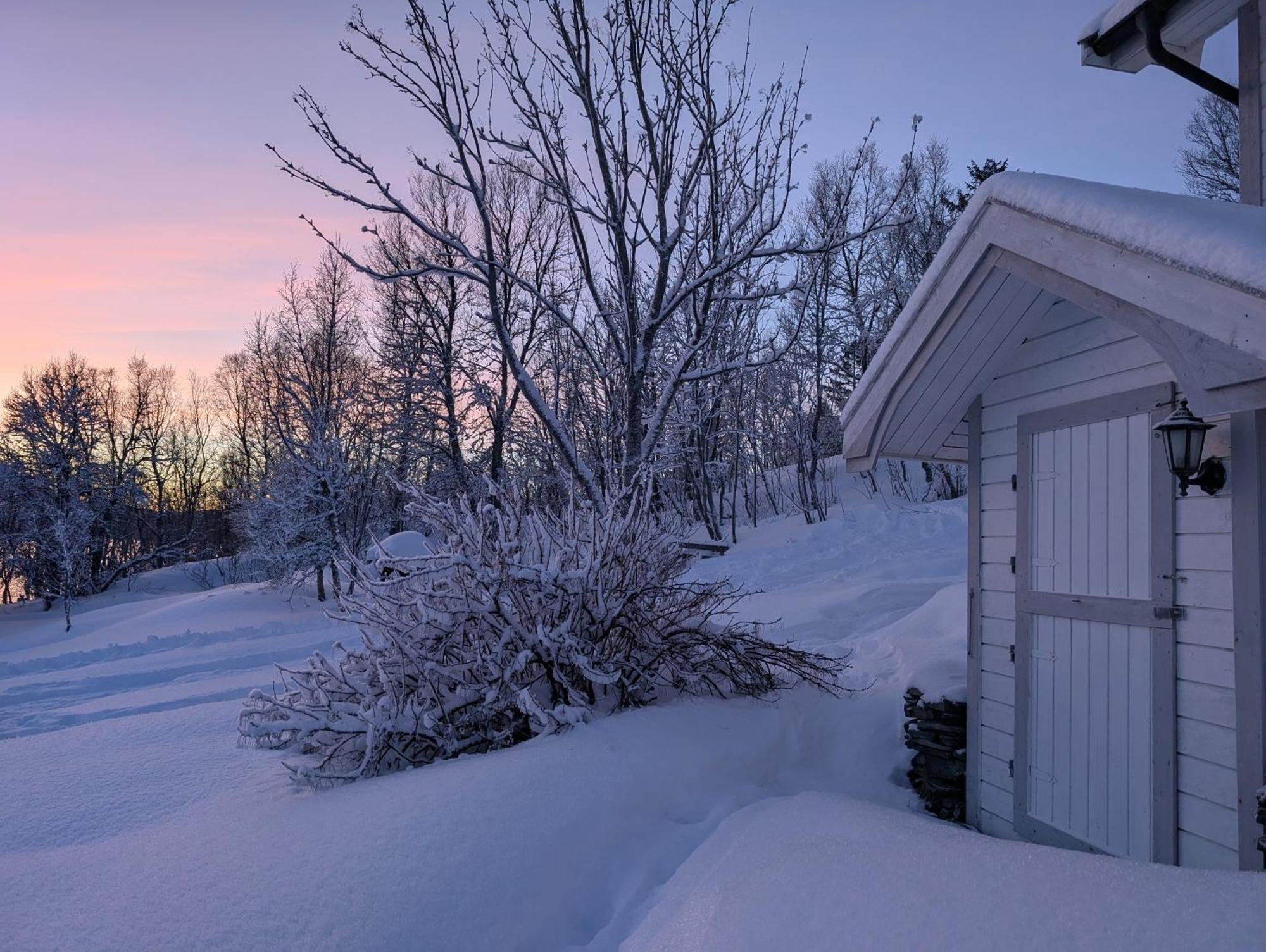 Cabin Magic On Senja, Atmosphere Like A Fairytale Botnhamn Eksteriør bilde